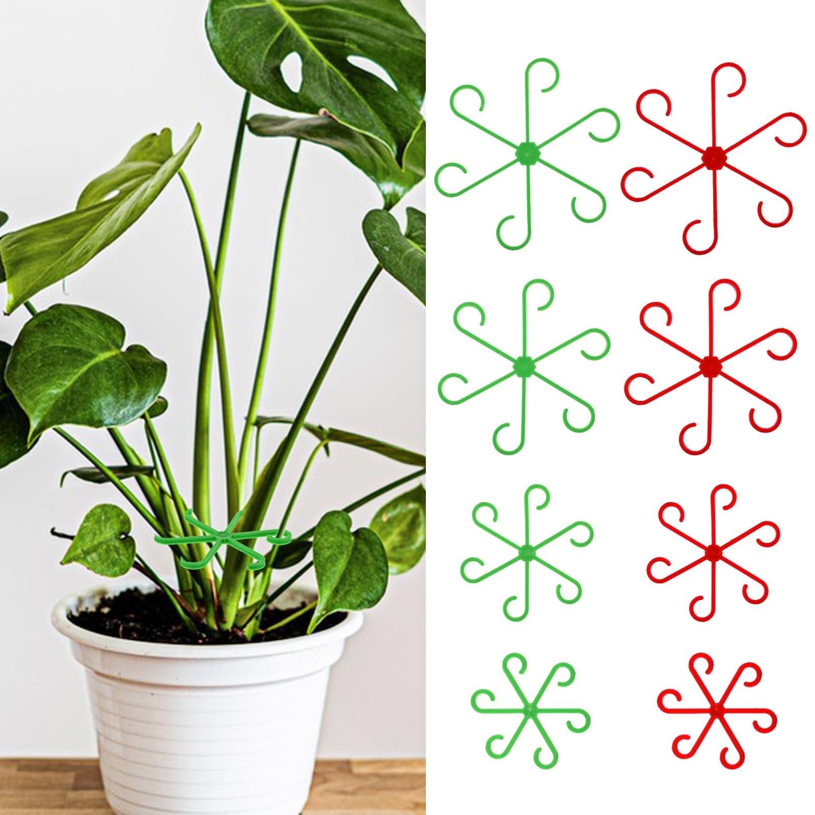 Climbing Houseplant Stem Supports - Perfect Growth Solution for Your Plants