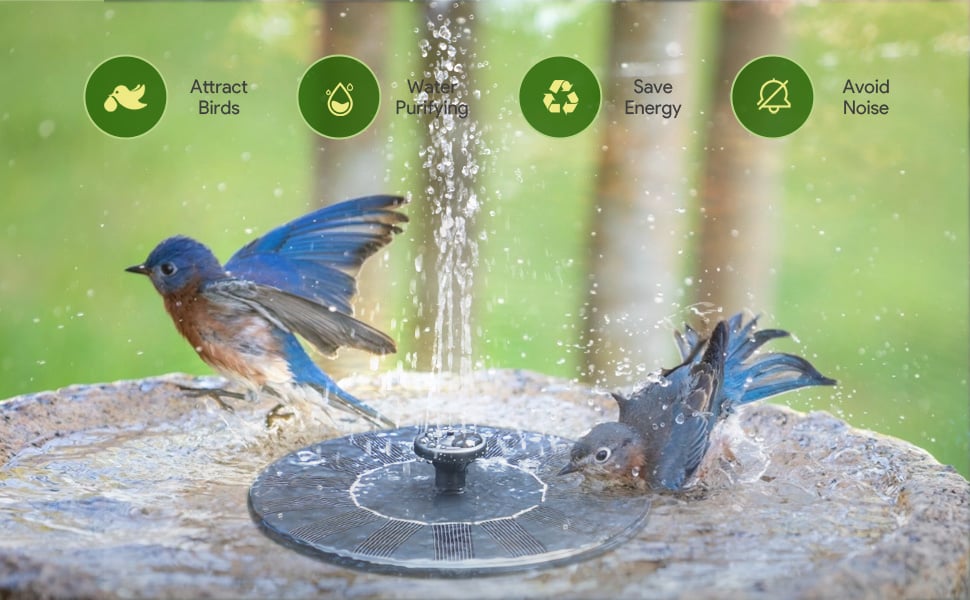 🔥Last Day 50% OFF🔥Solar-powered bird fountains