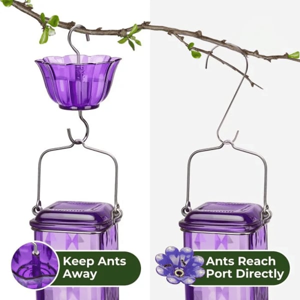 💥Hummingbird Feeder - Leak-proof seal